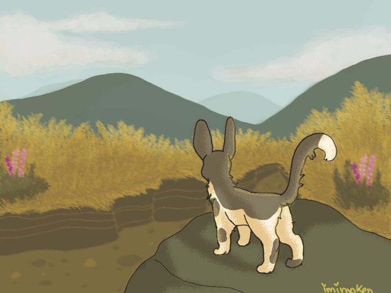 windclan